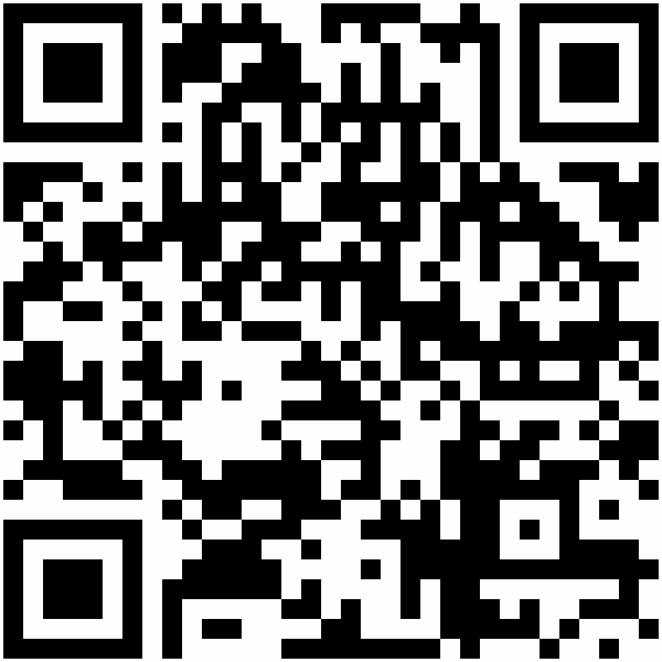 QR-Code: http://verein.land-der-ideen.de/en/dialogues/flying-the-flag-for-good-ideas